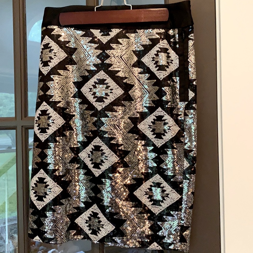 The Limited size 0 skirt.